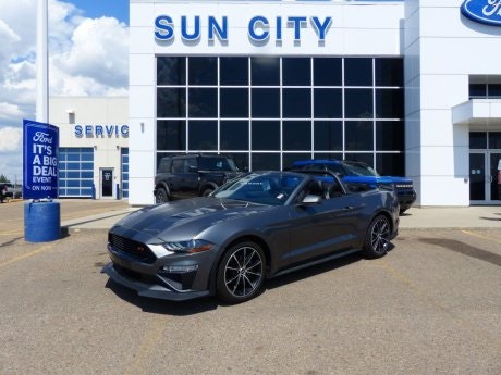 2022 Ford Mustang 2022 Ford Mustang