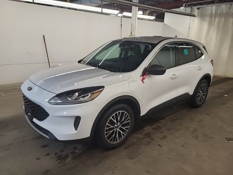 2022 Ford Escape 2022 Ford Escape