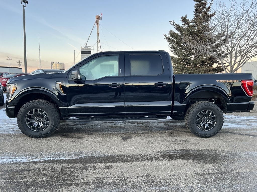 2023 Ford F-150 Tremor (FTW308) Main Image