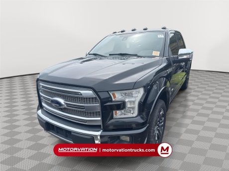 2015 Ford F-150 2015 Ford F-150