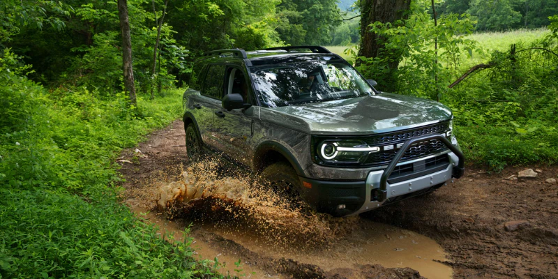 Bronco in a forest trail
