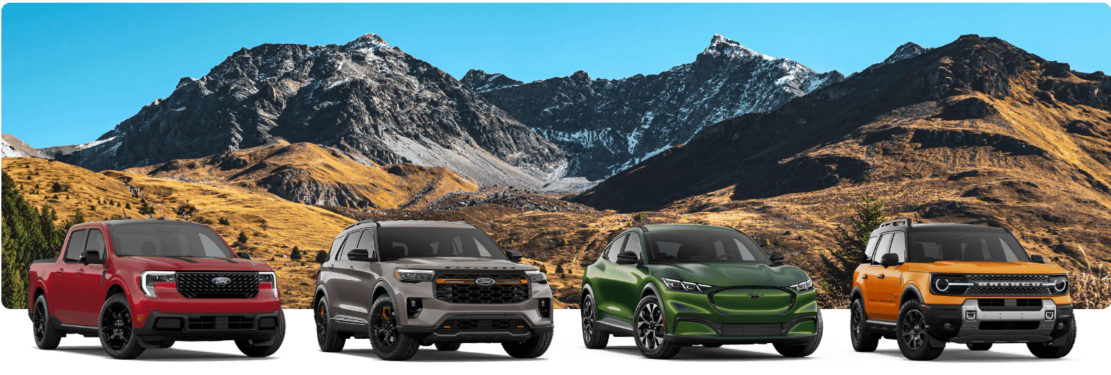 fords car in a row with a scenic background