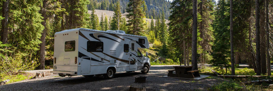 RV parked in a park