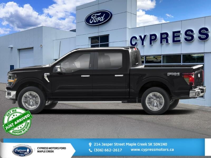 2024 Ford F-150 XLT (4T69) Main Image