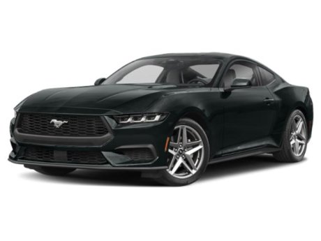 2024 Ford Mustang EcoBoost 101A + NITE PONY PACKAGE