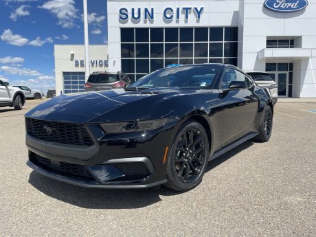2024 Ford Mustang EcoBoost 101A + NITE PONY PACKAGE