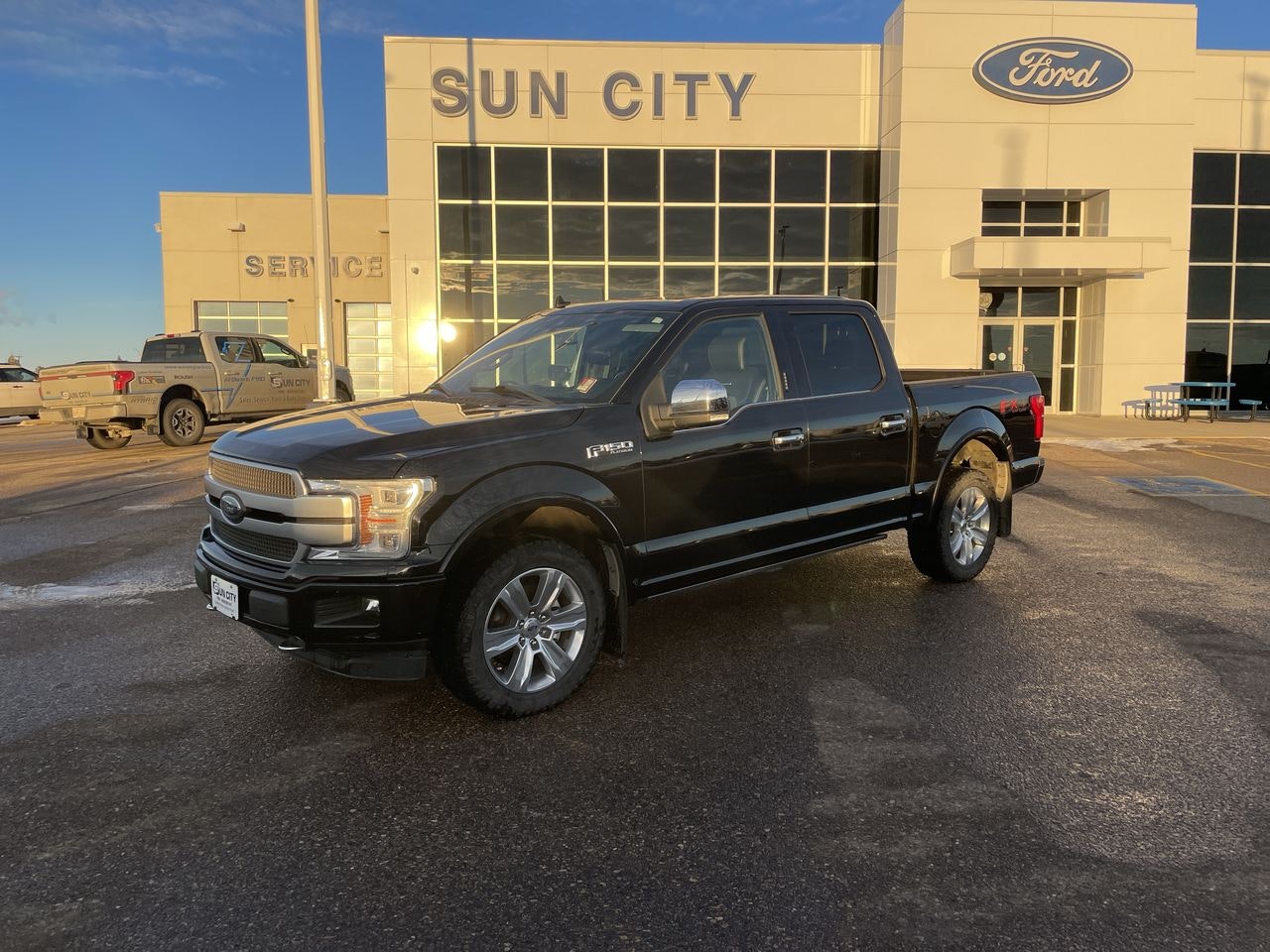 2019 Ford F-150 Platinum FX4 700A (T124163A) Main Image