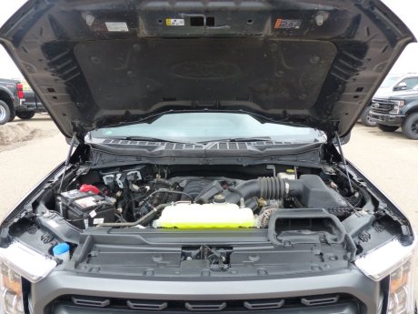 2021 Ford F-150 XLT XTR 302A