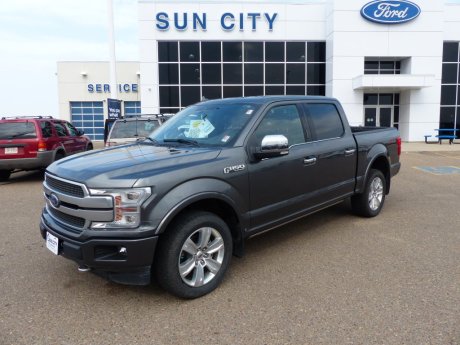 2019 Ford F-150 Platinum 700A