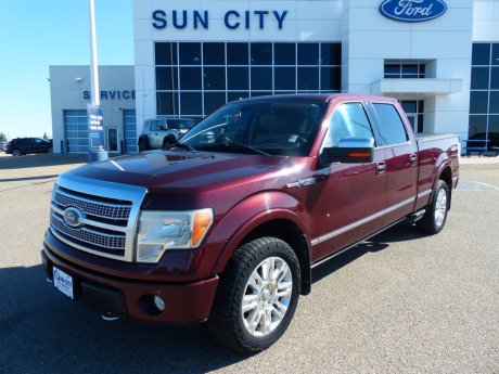 2009 Ford F-150 Platinum
