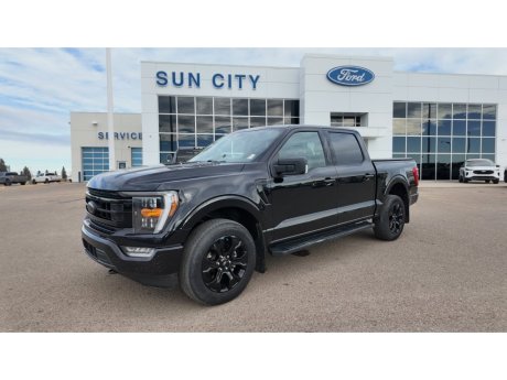 2022 Ford F-150 XLT FX4 302A