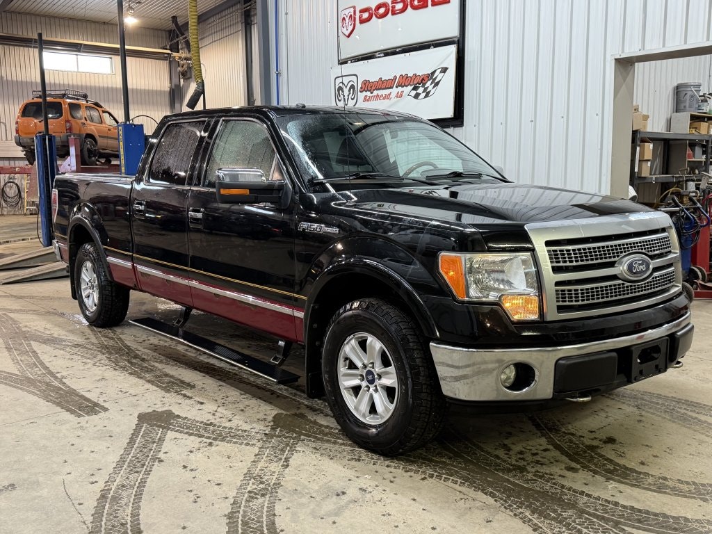 2010 Ford F-150 Platinum (AFC2CON) Main Image