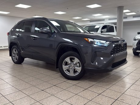 2025 Toyota RAV4