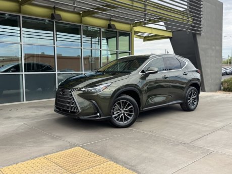 2024 Lexus NX 250 Premium