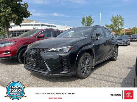 2025 Lexus UX UX 300h 