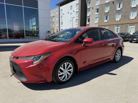 2020 Toyota Corolla LE 