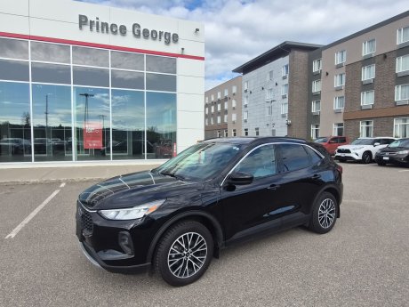 2024 Ford Escape PHEV 