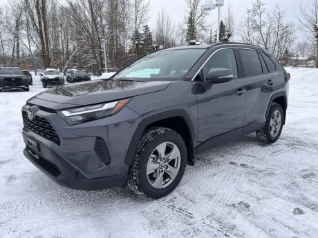 2025 Toyota RAV4 XLE 