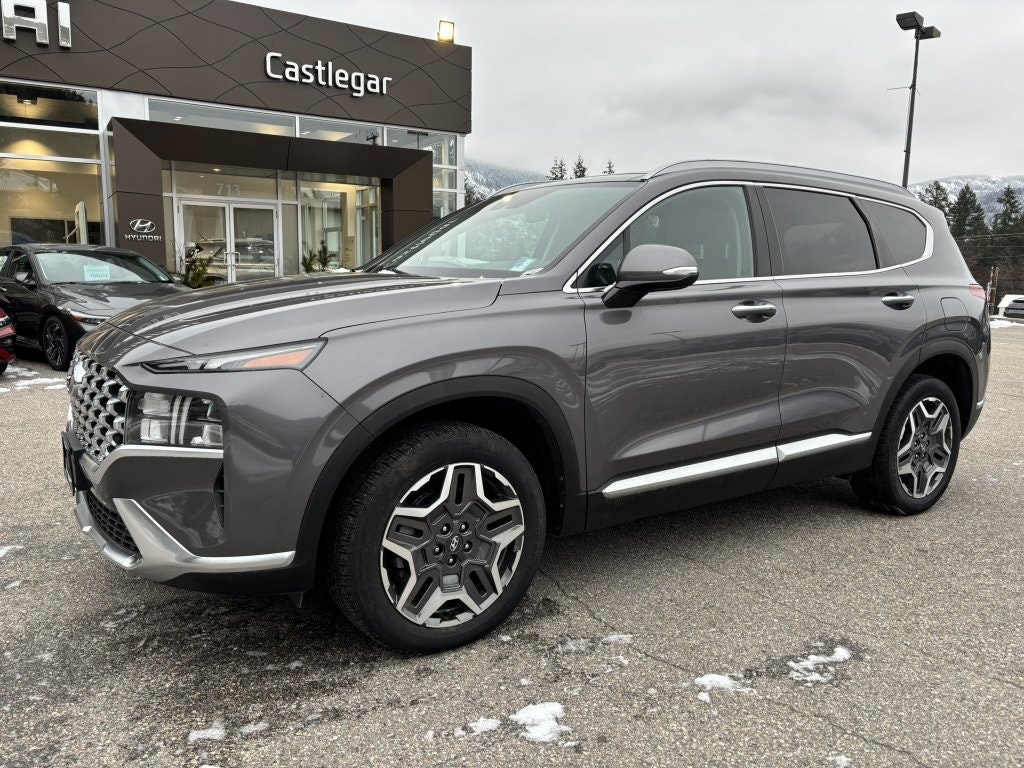 2021 Hyundai Santa Fe Hybrid Luxury (43891) Main Image