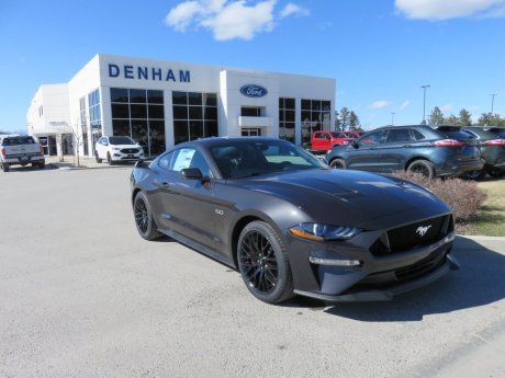 2023 Ford Mustang GT Premium Coupe w/ Performance Package!