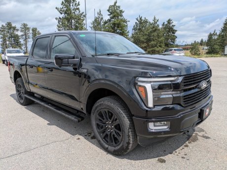 2025 Ford F-150 Platinum Supercrew 4x4 - EMPLOYEE PRICING ON NOW! 