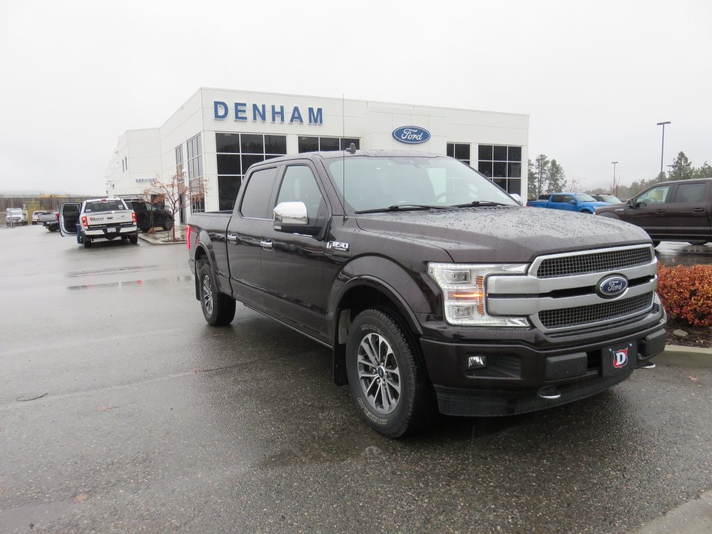 2019 Ford F-150 Platinum (T22239A) Main Image