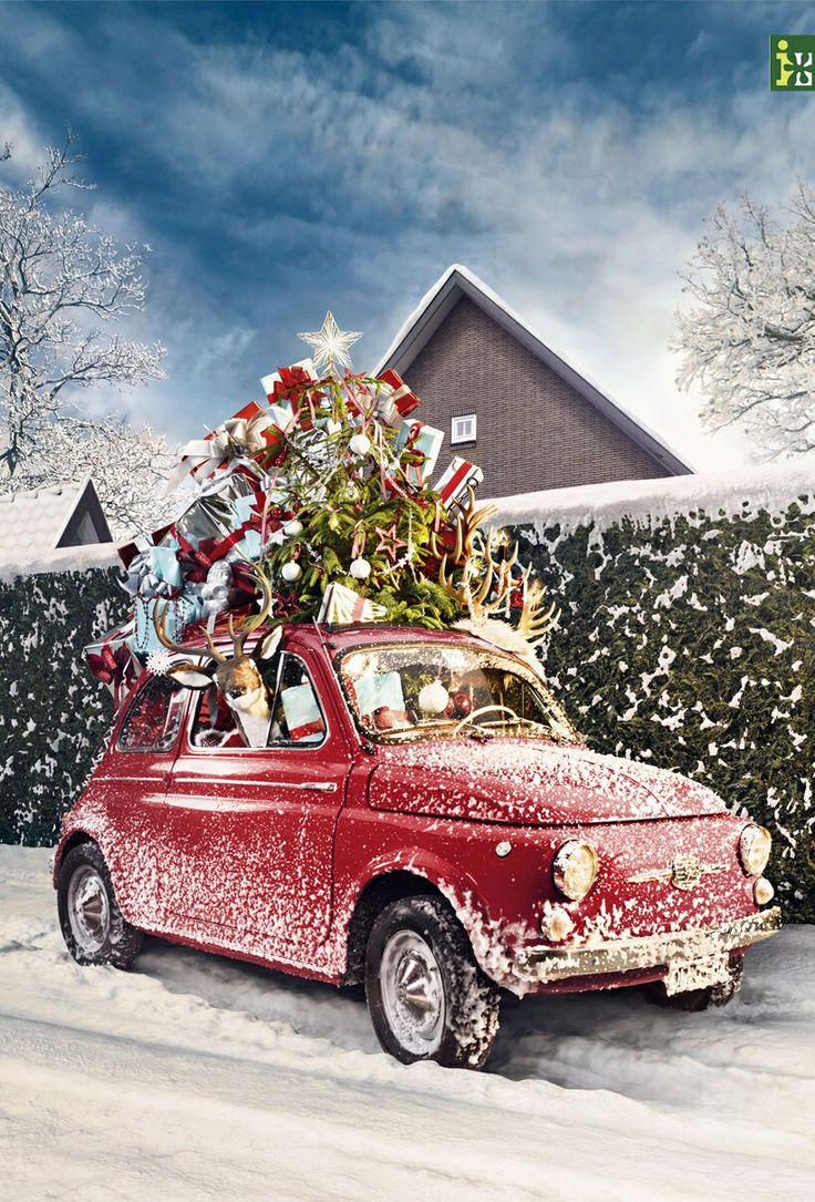 Five Car Decorations That Will Make You Ready For Christmas