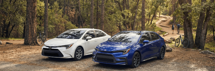 2027 corolla in white and blue in the woods