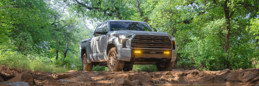 Toyota tundra in the woods