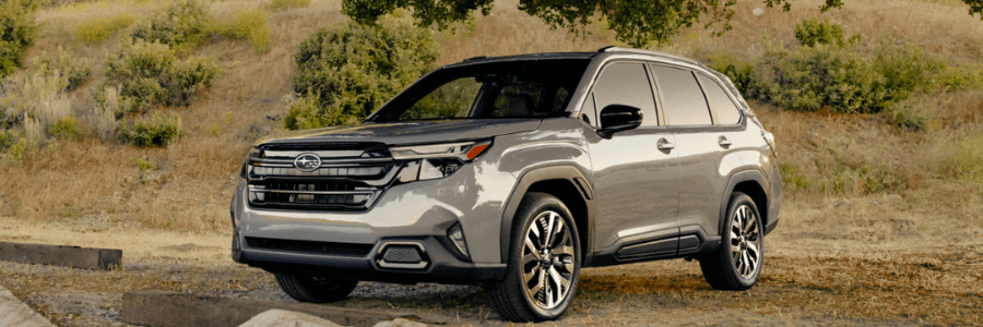 subaru forester in the woods