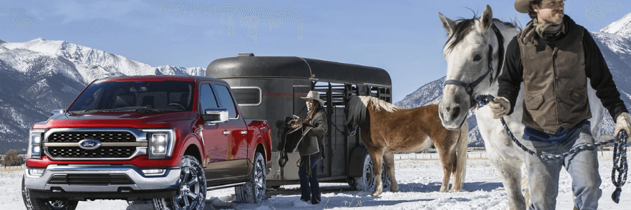 Ford truck and horses in the snow