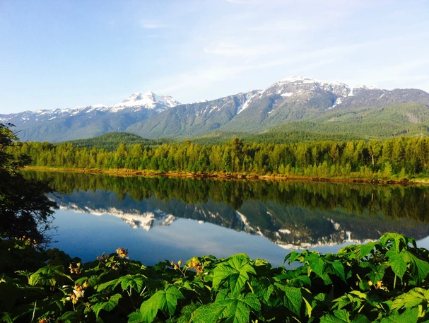 Views from Lamplighter Campground in Revelstoke, BC