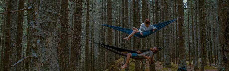 Two people in hammocks in the woods enjoying the summer camping