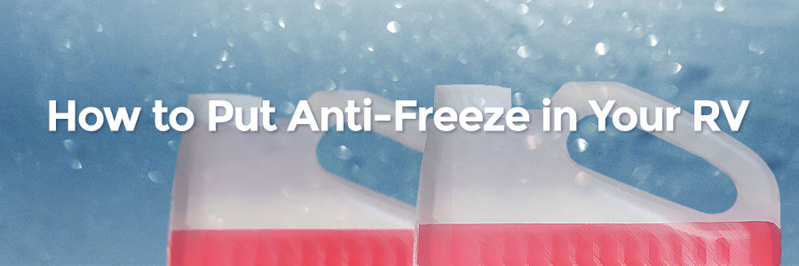 how-to-put-anti-freeze-rv