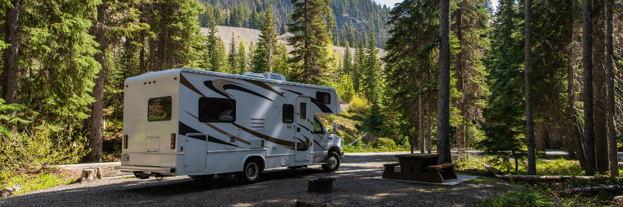 rv trailer in the woods