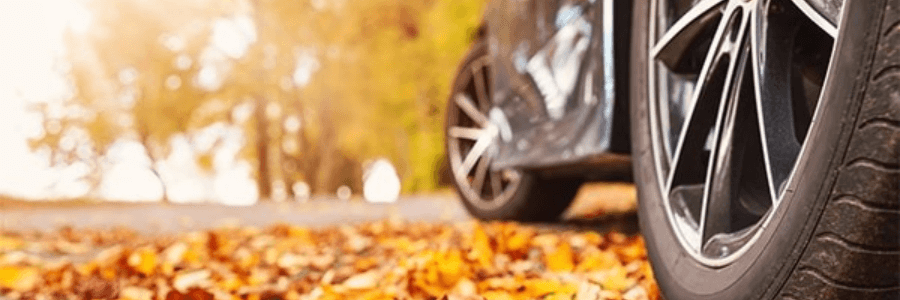 toyota in the fall