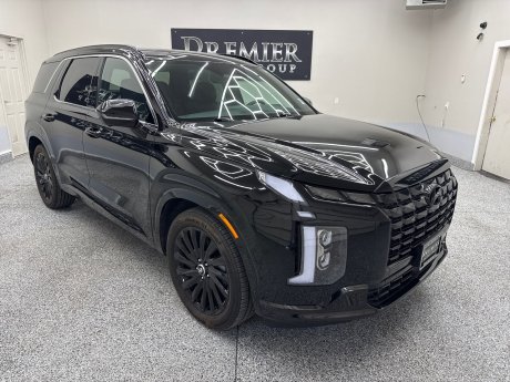 2025 Hyundai Palisade Calligraphy Night Edition 