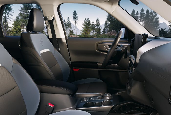 ford platinum protection