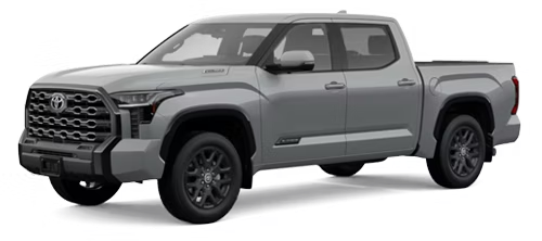tundra
