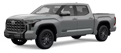 tundra