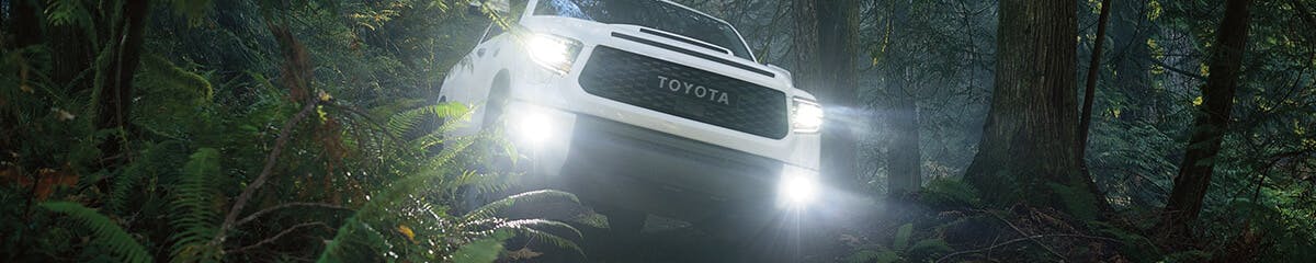 2020 toyota tundra trd pro