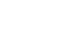 FlexDealer Emblem Whiteout