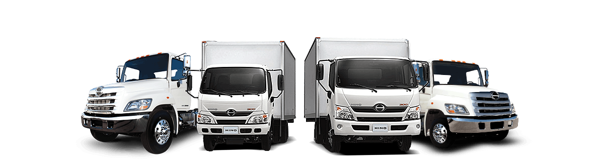 Hino line-up on grass