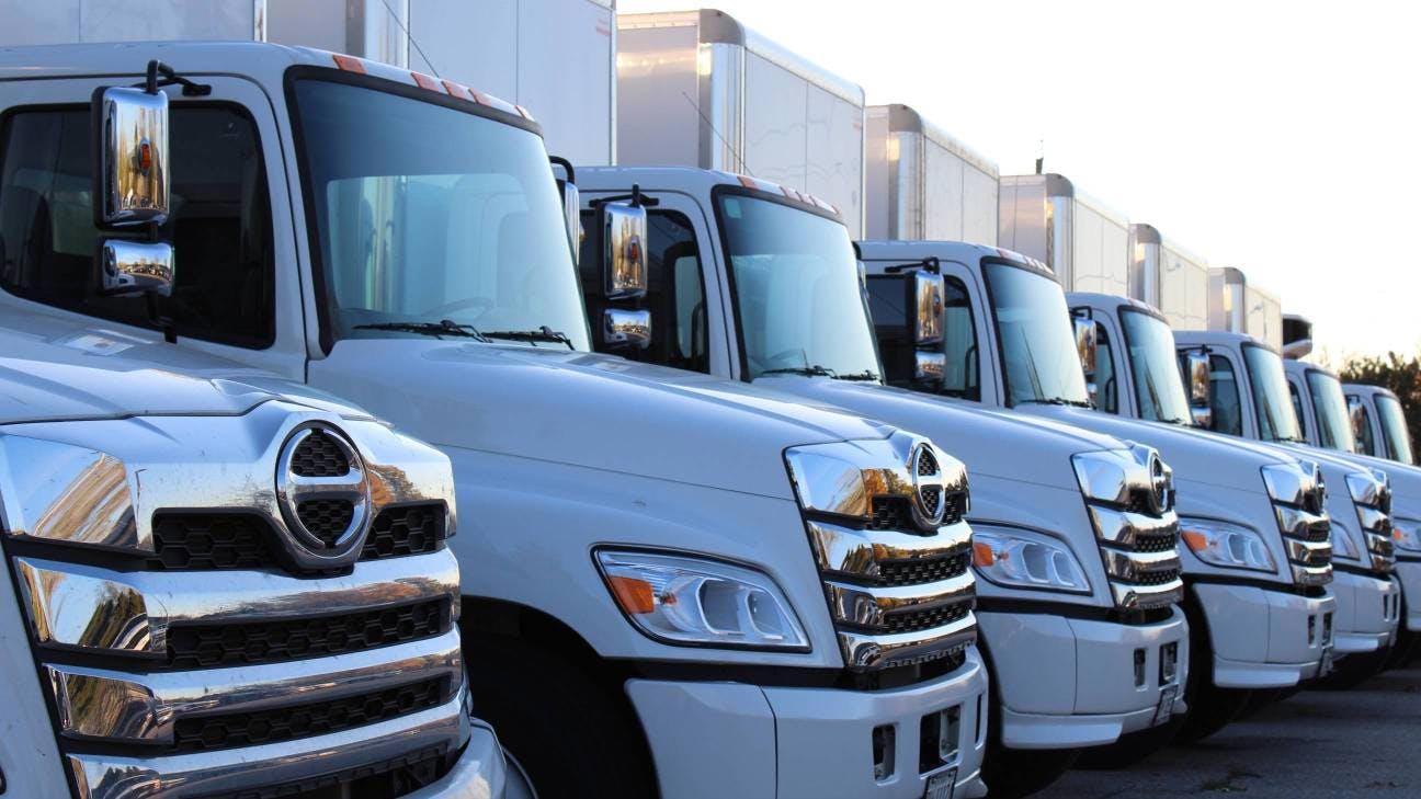 Several white Hino trucks lined up in a row