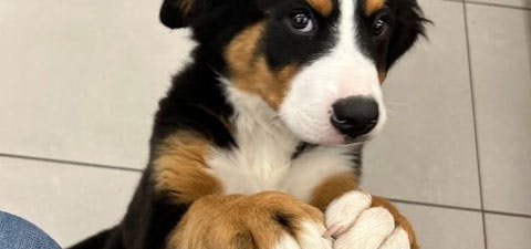 A Dealer You Can Trust.