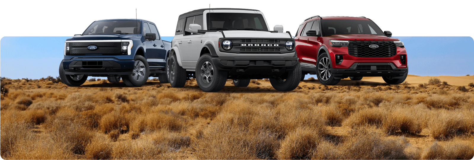 3 ford cars with a meadow background