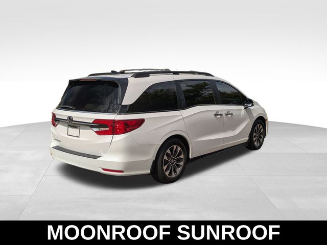2024 Honda Odyssey EX-L photo 5