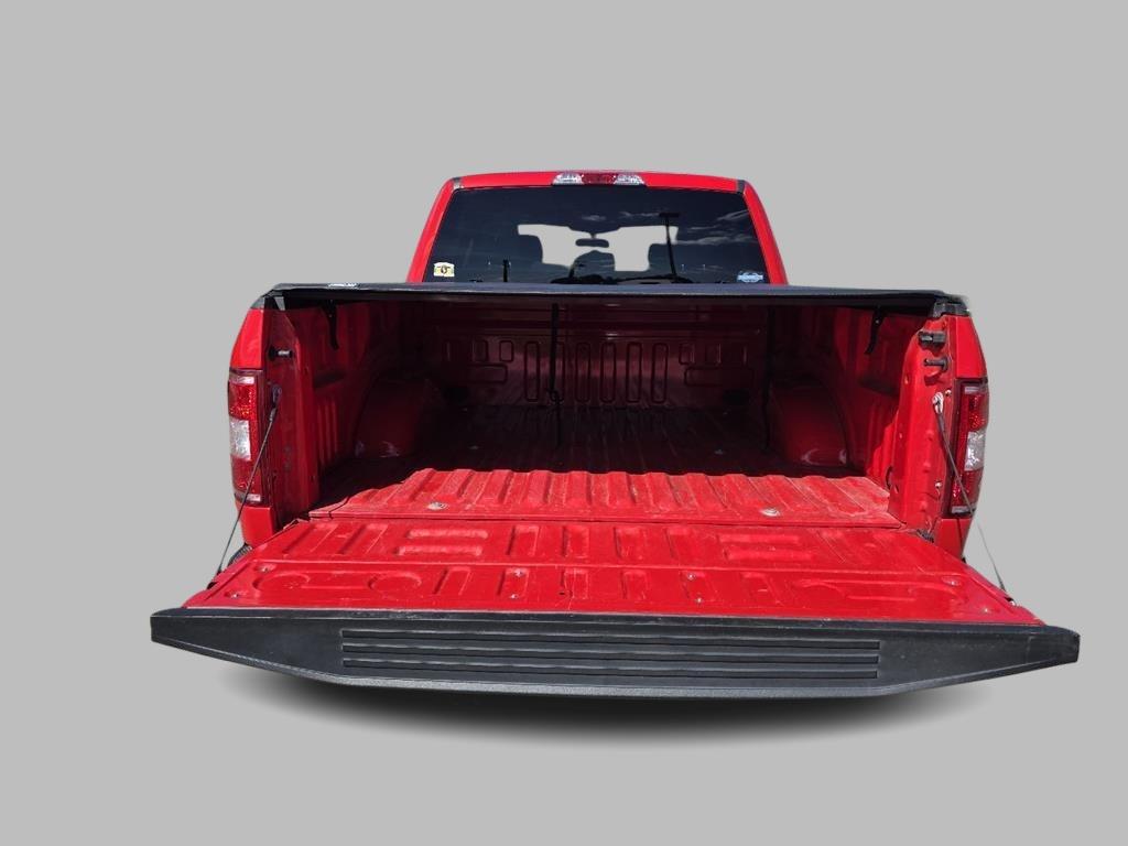 2019 Ford F-150 XL photo 2