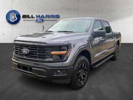 2025 Ford F-150 STX  Truck