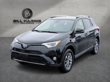 2017 Toyota RAV4 Hybrid LE Plus 